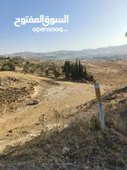  6 ارض للبيع ابو نصير