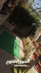  11 بيت للبيع  بسعر مغري