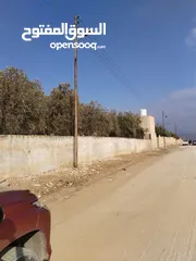  1 من أجمل قطع الرمان جميع الخدمات مشجرة