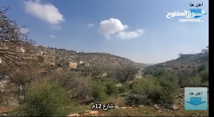  2 أرض لقطة في منطقة بدر الجديدة