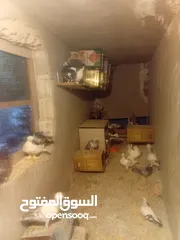  1 حمام مخلط كله جواز شغاله