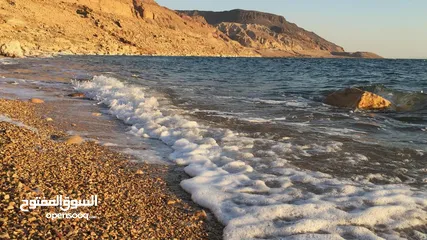  9 سجل شركة سياحة للبيع  بدون الكفالة او موقع  5000 دينار