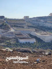  7 ارض للبيع حلحول بقار القصر الصيني