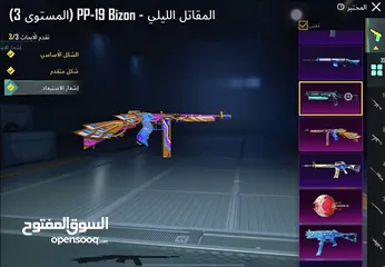  19 بيع حساب ببجي