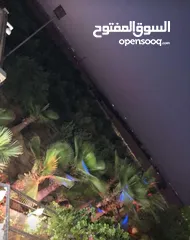  21 مزرعة مميزة و مشجرة للبيع بسعر مغري