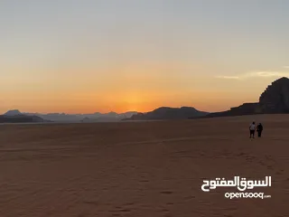  1 بدي فسبة قانوني نظيفة سيم مش ماشية كثير سارية ترخيص وتامين بسعر معقول الي عنده يبعتلي مسج