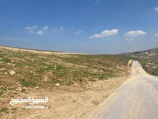  2 قطعة ارض للبيع ( منطقة فلل وقصور )واصل جميع الخدمات ( على قمة بيرين )