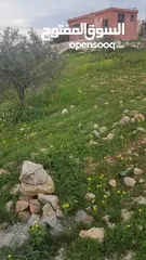  12 للبيع مزرعه 4.5 دونم في حمنانه المفرق ام حبل مخدومه
