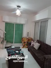  10 شاليه للايجار منطقه مطله جبل الروضه مطل ع البحر الميت وجبال فلسطين مسبح مغطى من اشعه الشمس