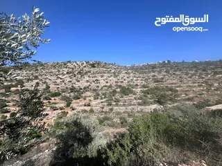  1 فرصة استثمارية في عارورة