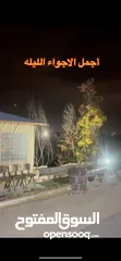 3 عده كفي شوب كامله للبيع