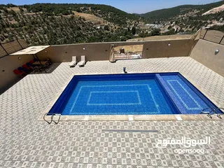  4 مزرعة غرناطة-عجلون-اشتفينا