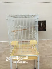  1 قفص الطيور