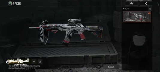  29 حساب Arena Breakout Mobile