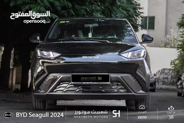  1 Byd Seagull 2024
