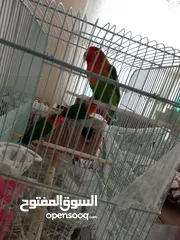  13 ثلاجة 11.5قدم مستعمله بسعر حرق غسالة سامسونج 7كيلو بسعر حرق خزانة شبابية طابقين استعمال بسيط