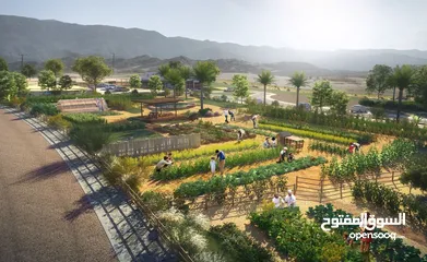  5 شاليه/مزرعة ضخمة للبيع في منتجع السيفة  Chalets in Jebel Sifah Resort