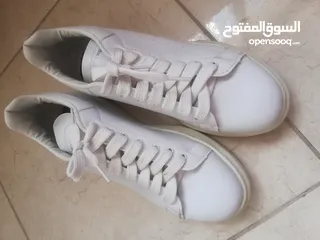  6 بوت ستاتي ب5