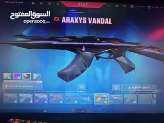  10 حساب فالورانت للبيع