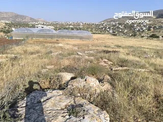  6 الارض مساحتها 1235