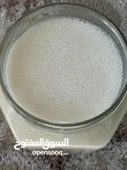  3 عسل أبيض طبيعي