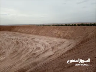  16 بلدوزر D8L +لودر 470 +حفارة 450 +حفارة 300 للإيجار