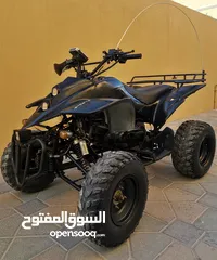  4 Atv King 250cc Model 2022 automatic D N R gear sale