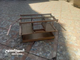  1 ملطش بابين مع قفص يصلح لصيد جميع انواع العصافير والحمام