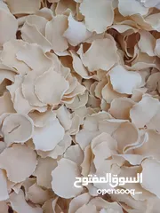  4 ورقة الخثارة کلاونگ