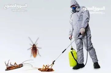  5 مكافحة الحشرات و اقوارض ارخص الاسعار جميع مناطق  الكويت