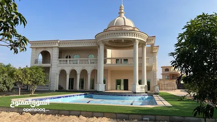  14 قصر للبيع في الريف الاوروبي طريق مصر اسكندريه الصحراوي