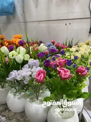  3 شروة مكرمة و قوار ورد