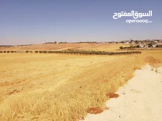  16 مادبا ماعين غرابيات ام راسين قطعة ارض زراعية بمنطقة هادئة و مميزة بمساحة 5300 م واصل الخدمات