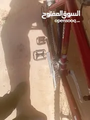  1 بسكليت. TREK