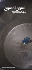  2 طباخات ومكنات استانلس