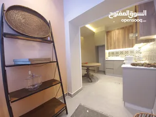  6 Furnished Apartment For Rent In 4th Circle  ( Property 36438 )-174821766