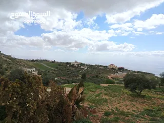  14 2300 م السلط المغاريب قطعة ملوكية تصلح ل فيلا او مزرعة اطلالة ع الغرب و جبال فلسطين