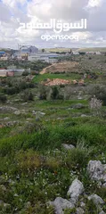  4 800متر طابوا فلسطيني منطقة  bداخل حدود البلدية موقع مميزا جدا صالحة للجميع المشاريع الاستثمارية