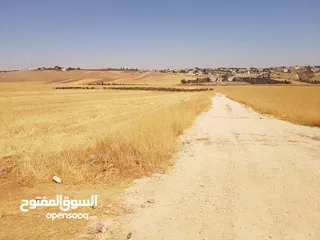  10 مادبا ماعين غرابيات ام راسين قطعة ارض زراعية بمنطقة هادئة و مميزة بمساحة 5300 م واصل الخدمات