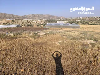  3 الارض مساحتها 1235