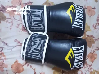  1 قفازات ملاكمه EVERLAS BOXING GLOVES