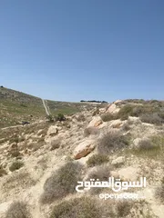  5 قطعة ارض للبيع بسعر مغري جدا