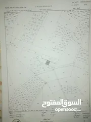  3 ارض فوق شارع جريبا الرئيسي