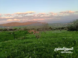 2 مشروع سلحب الاول