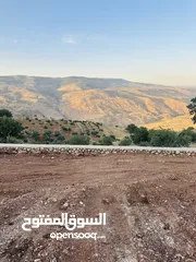  13 أرض مميزه _الصبيحي _ بيوضه الشماليه