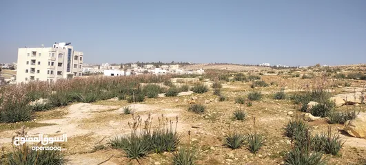  2 شفابدران 3 شوارع مرج الفرس