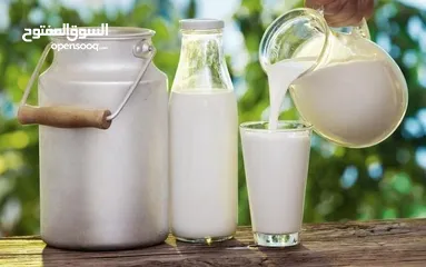  1 مصنع البان للبيع