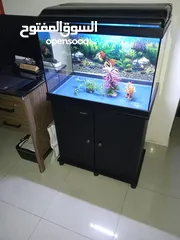  3 Fish Aquarium including cabinet for sale