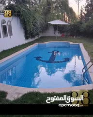  9 فيلا مفروشه للايجار السنوي (الرابية)