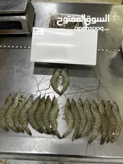  5 Seafood supplier